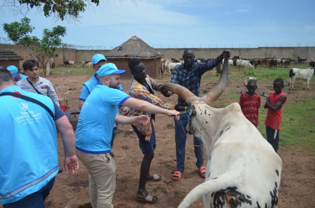 Livestock and Agriculture